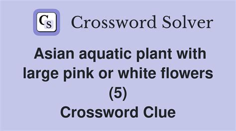 asian water plant crossword clue